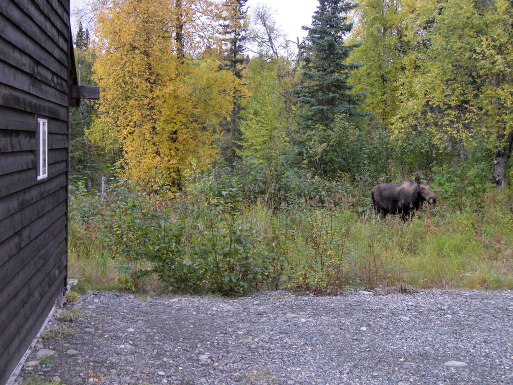 Grace And Bill'S Freedom Hills B&B Talkeetna Exterior photo